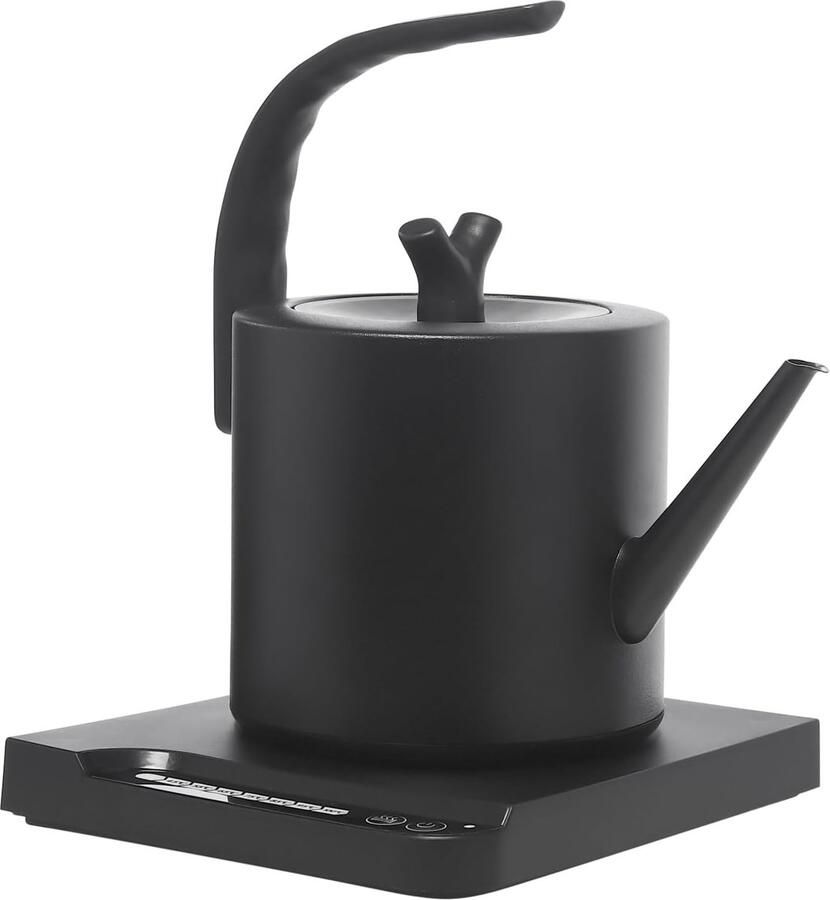 Roestvrijstalen waterkoker Elektrische theekoker Dranken bereiden Instelbare temperatuur 1 liter inhoud Zwart