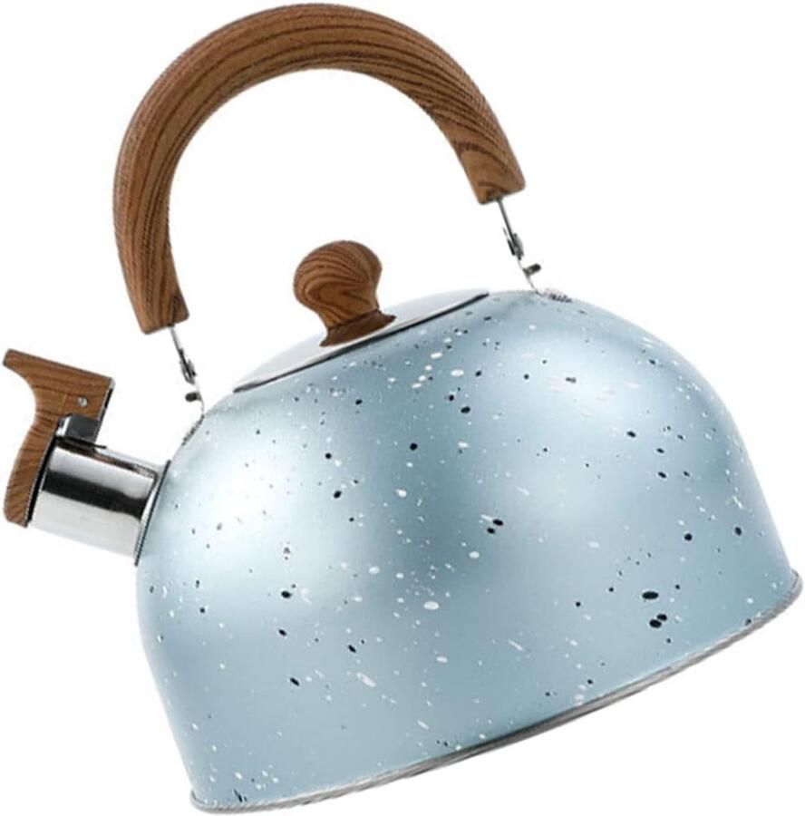 Roestvrijstalen waterkoker Fluitketel waterkoker Snel water koken Grote capaciteit 2 liter 20x20x20 cm Blauw