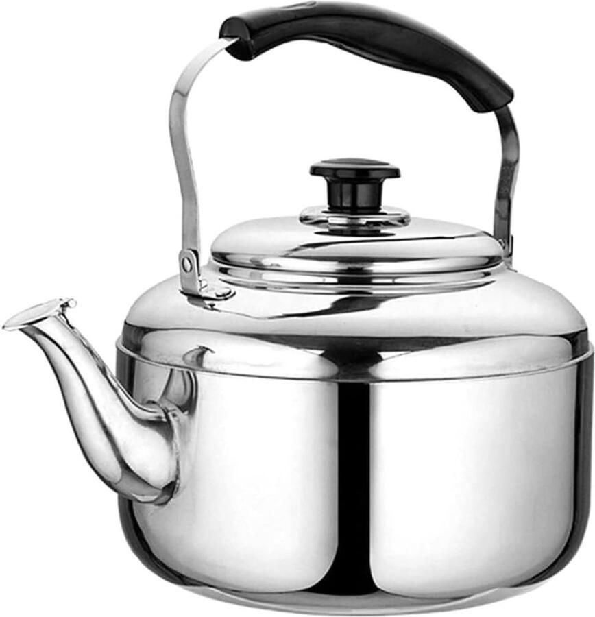 Roestvrijstalen Waterkoker Theeketel Fluitketel Water Koken Klassieke Uitstraling 3 Liter Capaciteit Zilver