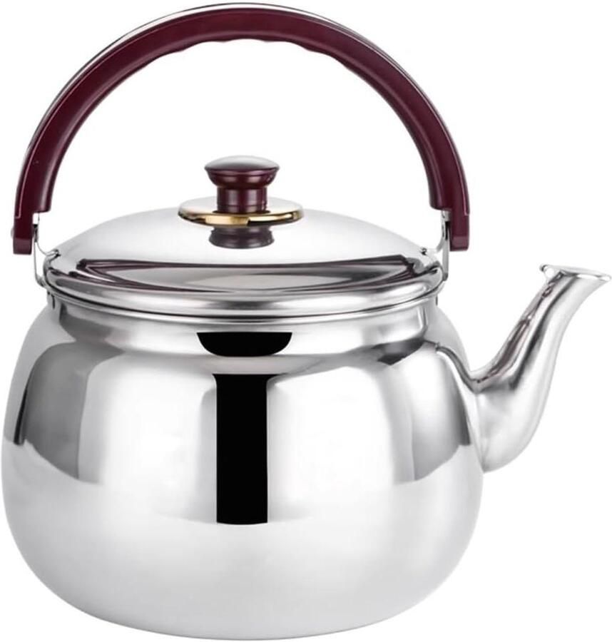 Waterkoker RVS Theepot fluitketel Water koken Anti-broei handgreep 7 Liter Zilver