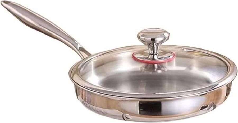 Roestvrijstalen Wokpan Koekenpan Antiaanbak Gelijkmatig Koken Krasbestendige Antiaanbaklaag 26CM Zilver