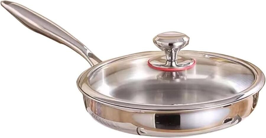 Roestvrijstalen Wokpan Koekenpan Antiaanbak Gelijkmatig Koken Krasbestendige Antiaanbaklaag 26CM Zilver