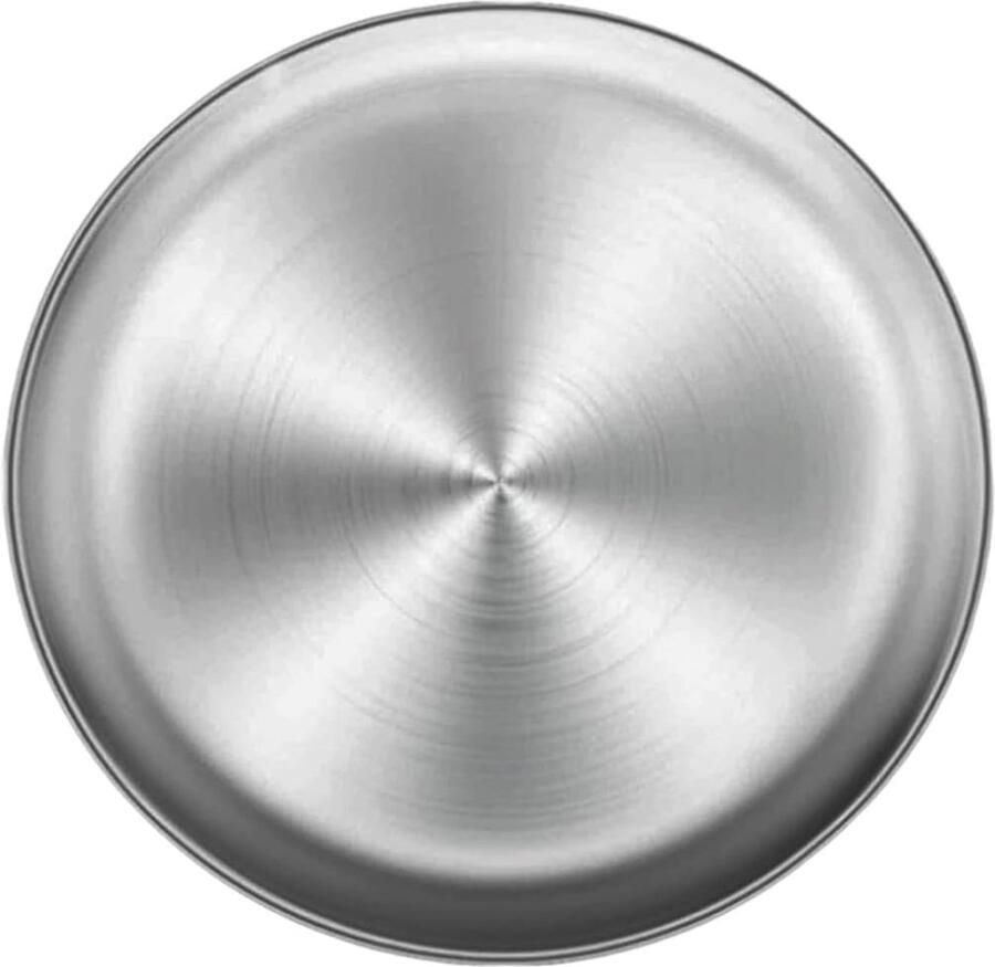 Ronde Bakplaat Pizza Oven Tray Bakken en Grillen Roestvrij Staal 30 cm Zilver