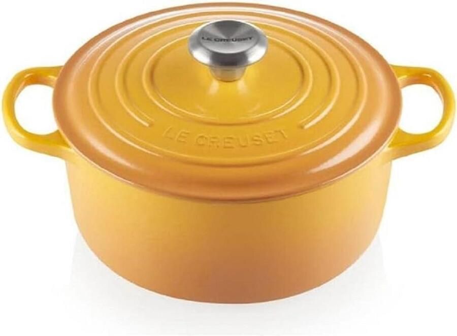 Ronde Gietijzeren Braadpan met Deksel 24 cm 4.2 Liter Geschikt voor Alle Warmtebronnen