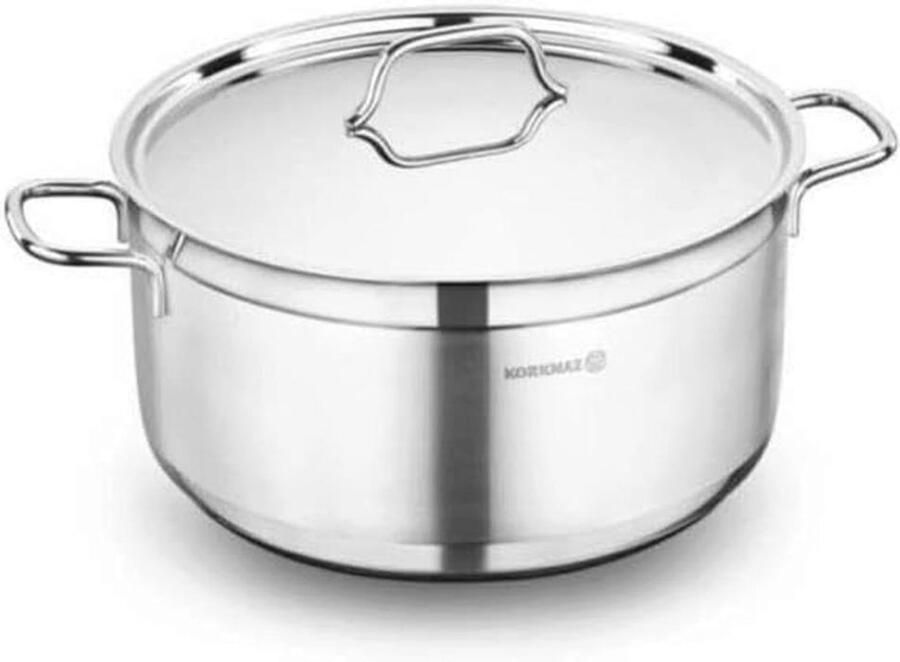 RVS Braadpan met Deksel Inductie Klaar Hollandse Ovenpot 4 2 Qt