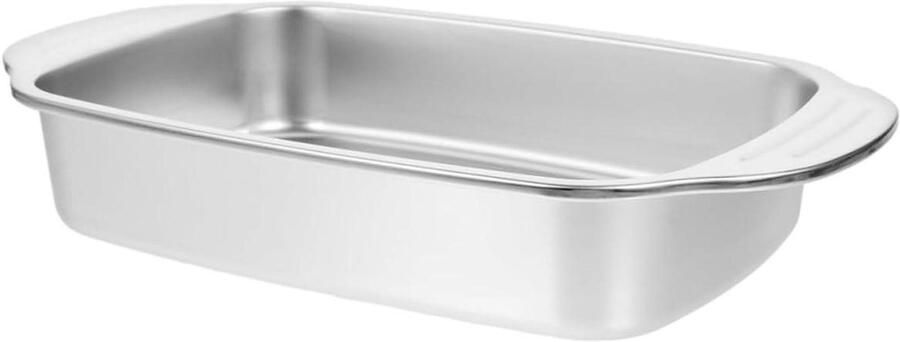 Rvs Braadpan Visschotel Braadslede Zeevruchten Koken Grote Capaciteit 408 cm Zilver
