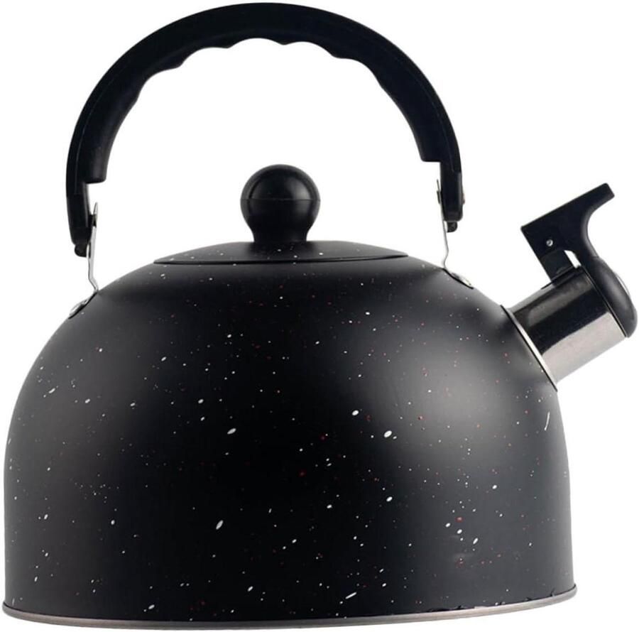 RVS Fluitketel Kookketel Waterkoker Water Koken Grote Diameter 2.5 L Zwart