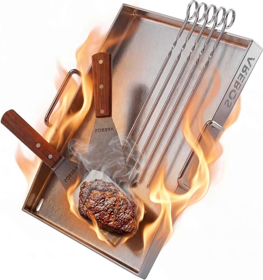RVS Grillplaat Plancha Bakplaat Buiten Koken Hittebestendig 800°C 40x30 cm Zilver
