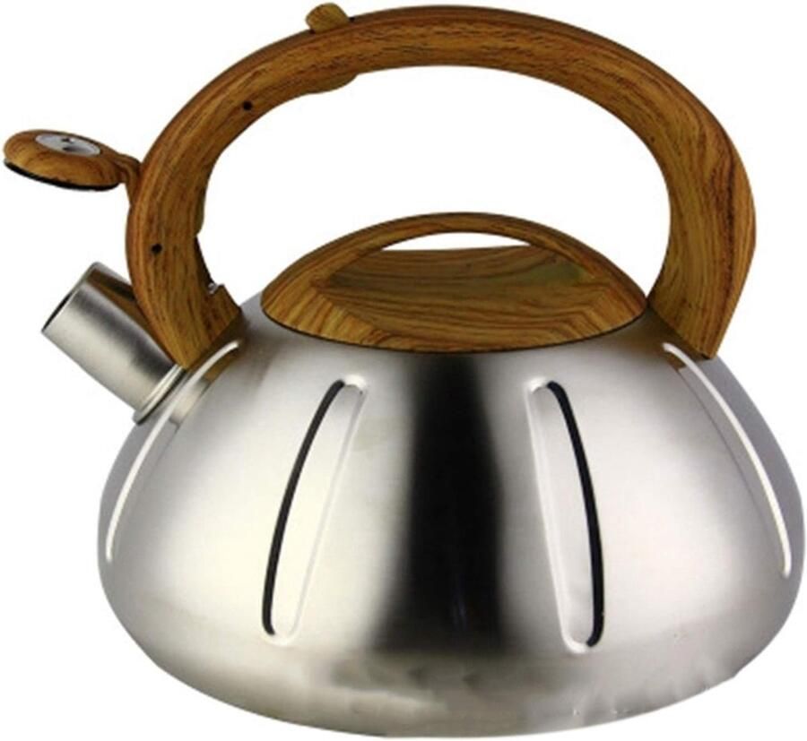 RVS Ketel Waterketel Snel Water Koken Universeel Geschikt 2 Liter Zilver