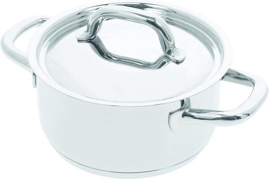 RVS Kookpan met Glasdeksel 20 cm voor Alle Warmtebronnen Inclusief Inductie