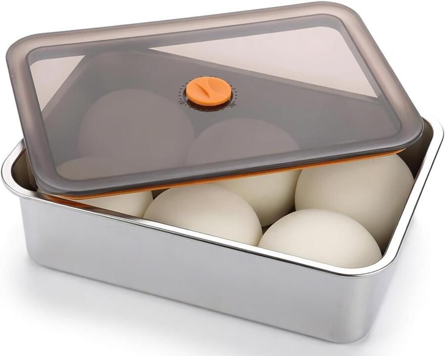 RVS Deegdoos met Deksel voor Pizza Fruit Salades en Taarten Ideaal voor Feestjes (30 x 21 x 8.5 cm)