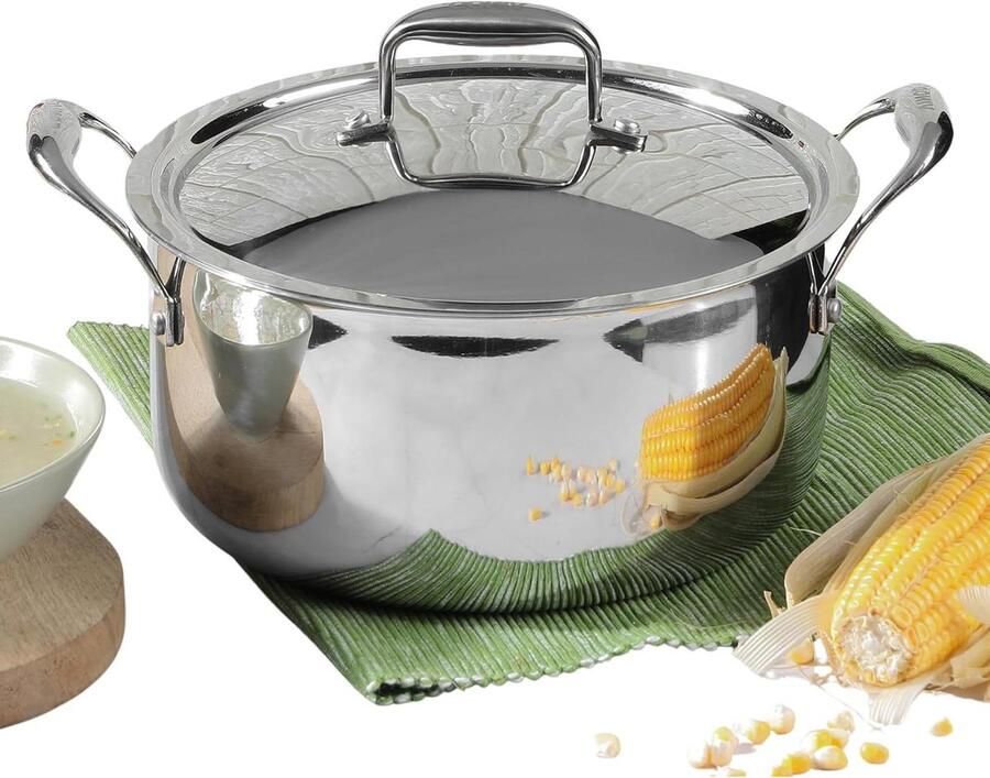 RVS Sauspan Kookpan Steelpan Koken Triply Constructie 20 cm Zilver