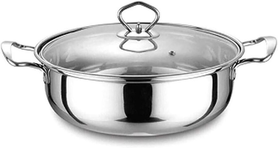 RVS Stoofpan Stoompan Soeppan Grote Maaltijden Koken Glazen Deksel Ventilatiegat 32 cm Zilver