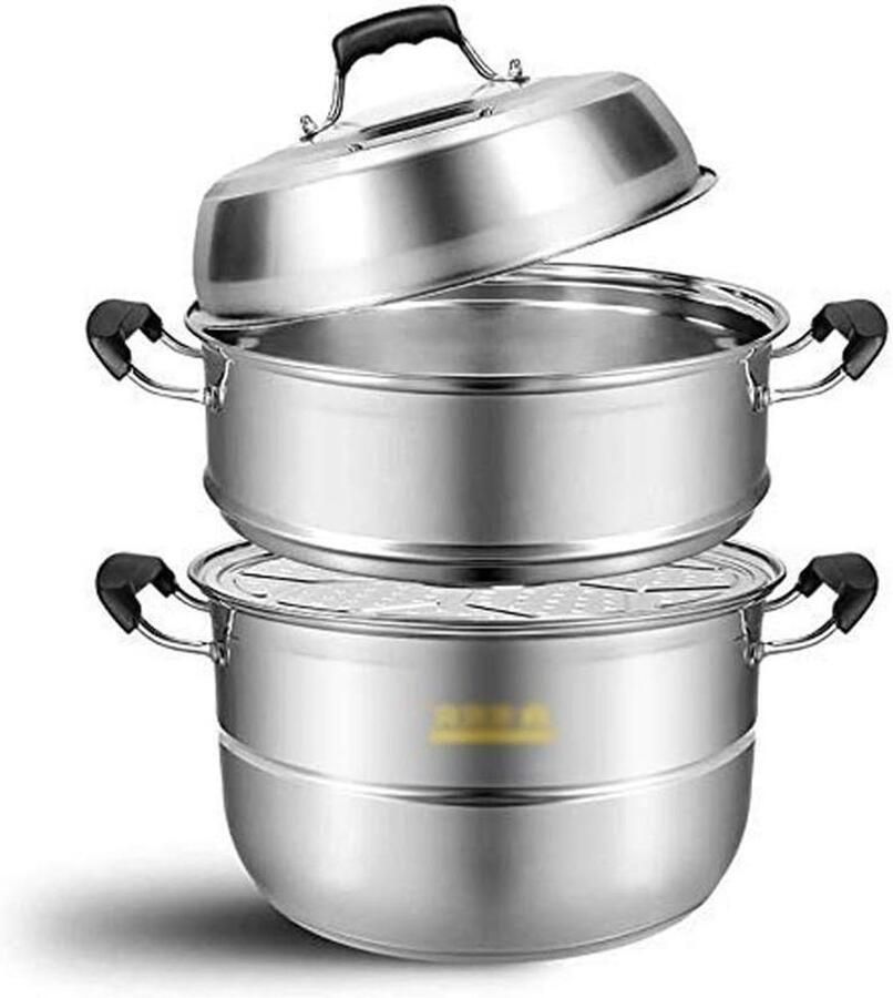 RVS Stoompan Dubbele Bodem Gezond Koken Universele Kookplaten 28 cm Zilverkleurig