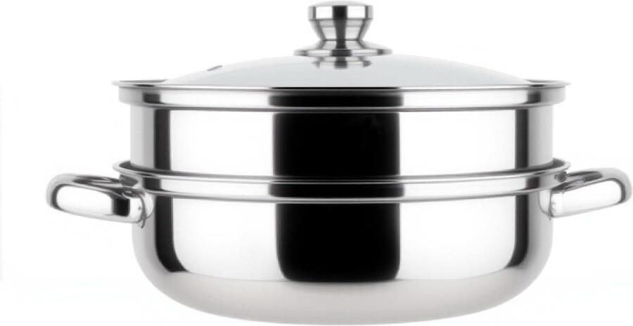 RVS Stoompan Kookpan Stoom Gezond Koken Dubbele Laag 30 cm Zilver