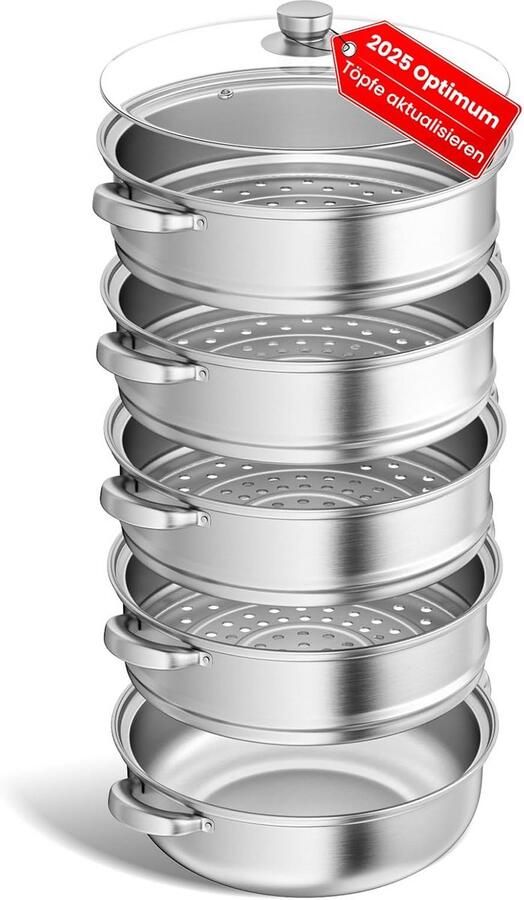 RVS Stoompan met 5 Verdiepingen voor Groenten Vis en Meer 28 cm