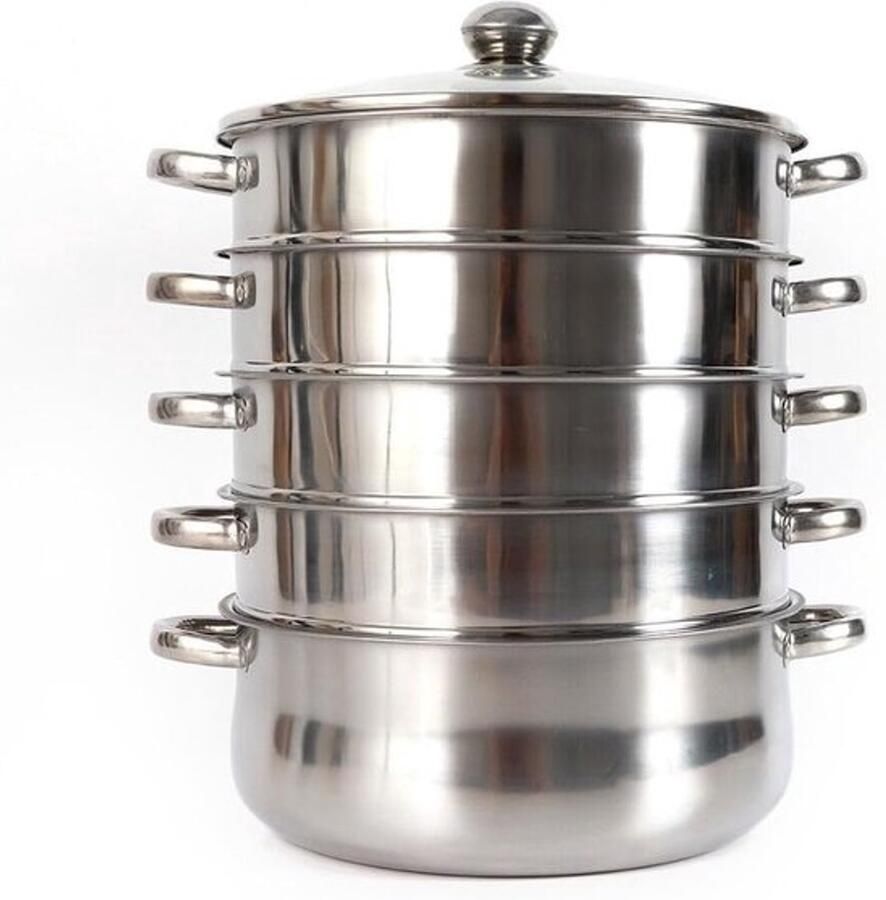 RVS-stoompan Multifunctionele kookpan Gezond koken 5-lagensysteem 26 cm Zilverkleurig