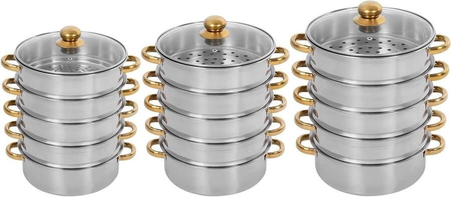 RVS Stoompan Stoomkoker Gezond Koken Vijf Lagen 28 cm Zilver Goud