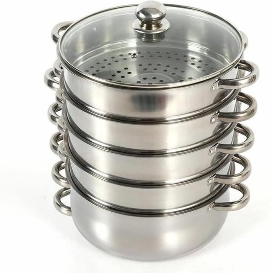RVS Stoompan Stoomkoker Pan Gezond Koken 5 Lagen Constructie 26 cm Zilverkleurig