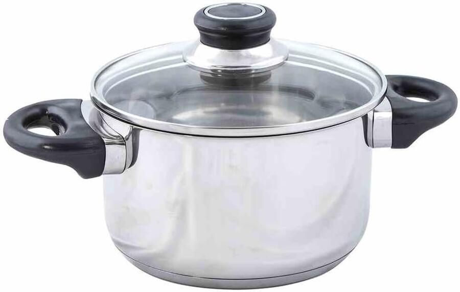 RVS Vleespot Steelpan Ketel Koken op fornuis Glazen deksel ventilatie 15 liter Zilver
