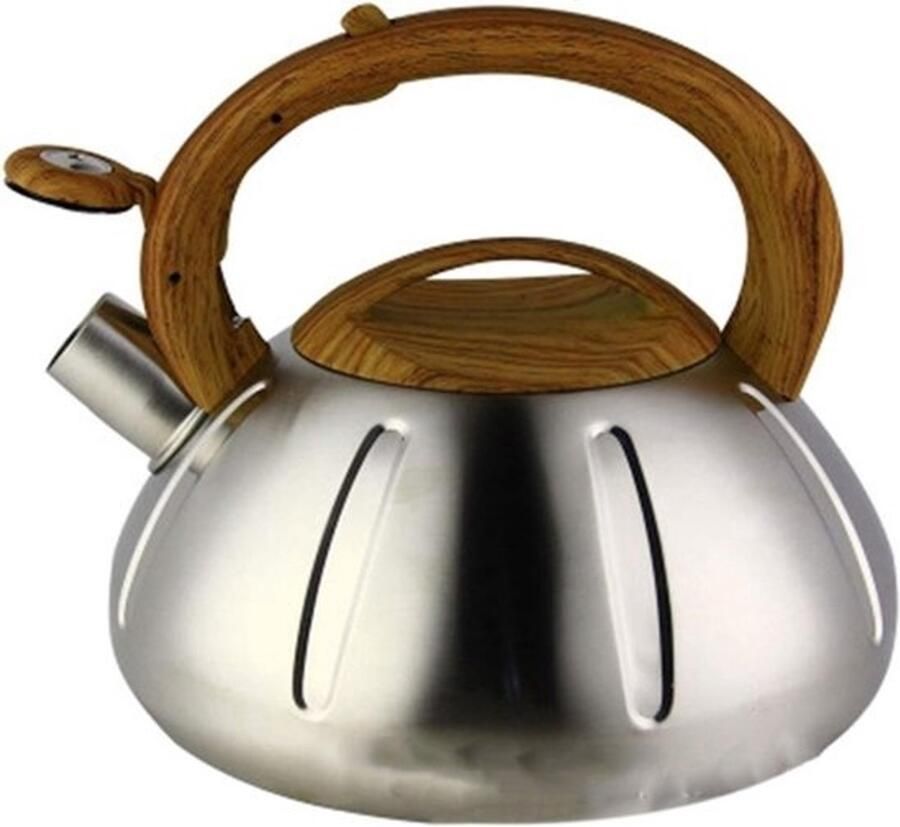 RVS waterketel Theepot en ketel Water snel koken Automatische geluidsmelding 2 Liter Zilver