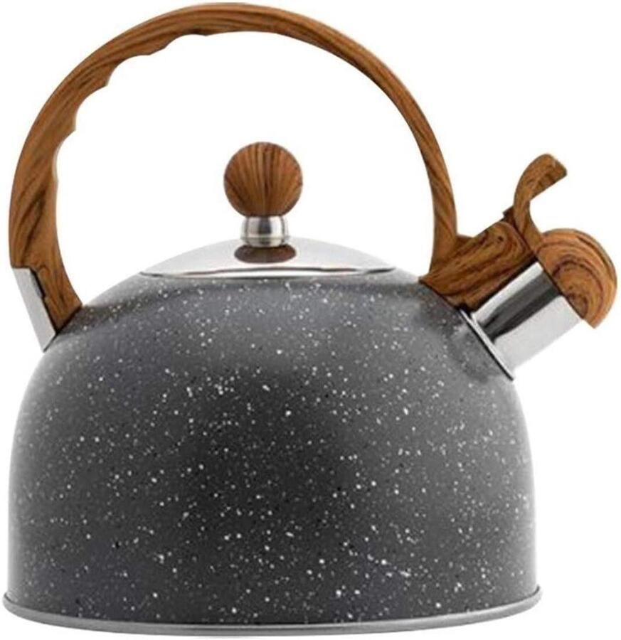 RVS Waterketel Theepot Fluitketel Snel Water Koken Met Fluitfunctie 2.5L Zilver