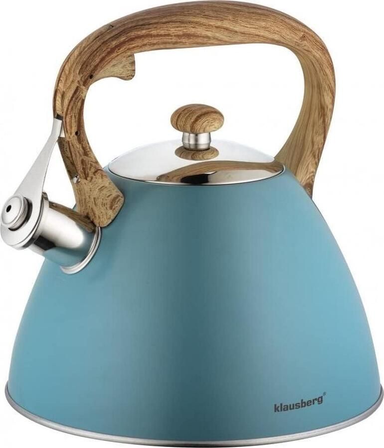 RVS Waterkoker 3 Liter met Fluitje Geschikt voor Alle Warmtebronnen