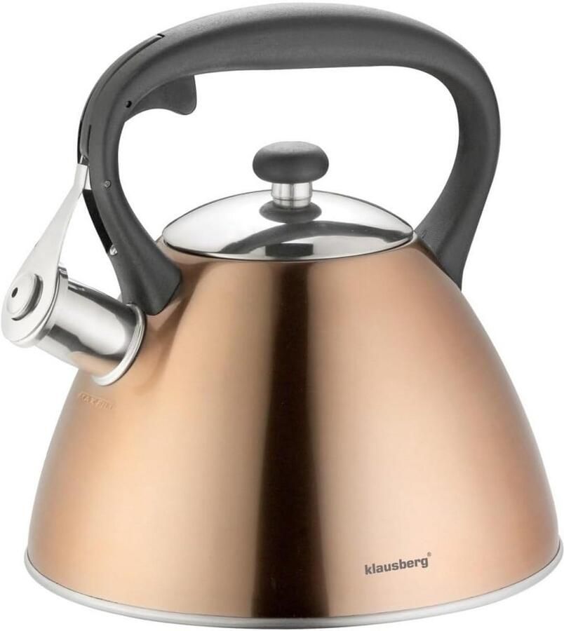 Fluitketel Waterketel Water Koken Roestvrij staal 2.5 Liter Zilver