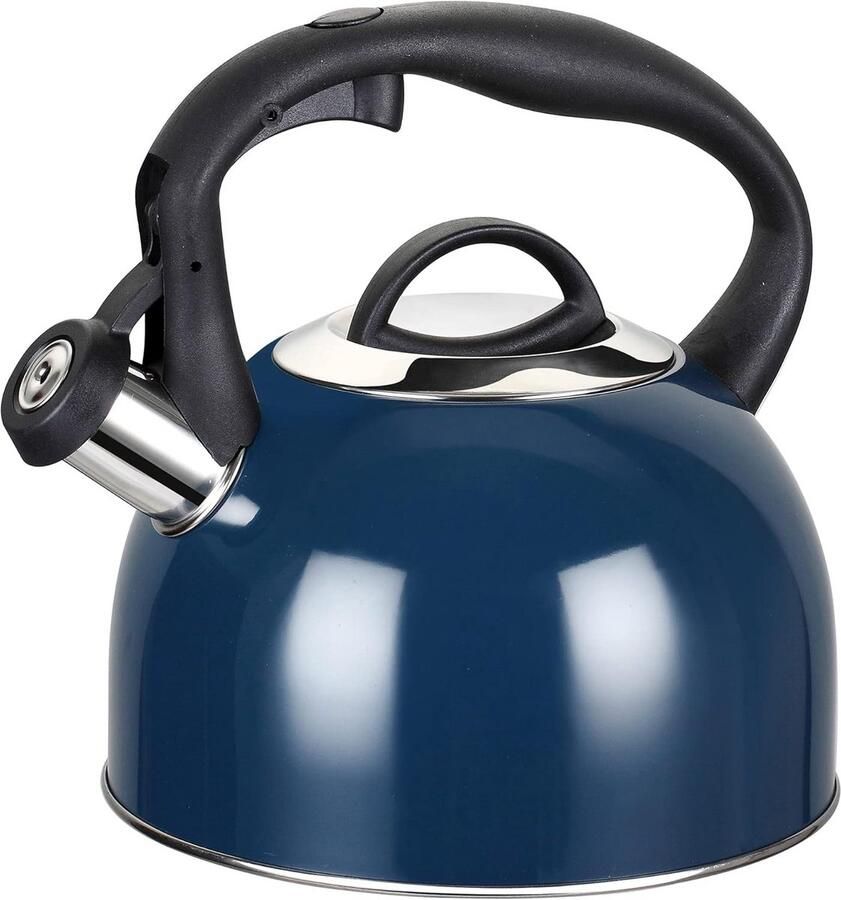 RVS Waterkoker Fluitketel Inductie Theeaccessoire