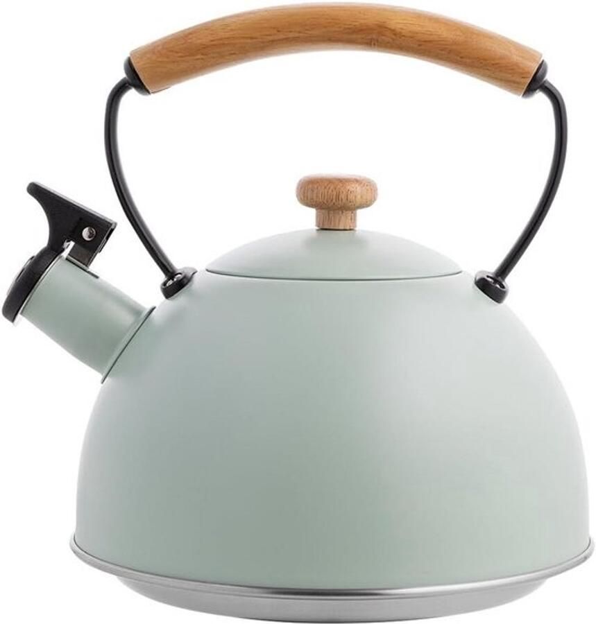 RVS Waterkoker Theeketel en Fluitketel Warme Dranken Maken Koelblijvende Houtgreep 2.3 Liter Mint