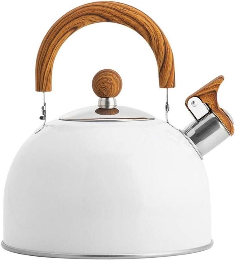 RVS Waterkoker Theeketel Fluitketel Water Koken Hittebestendige Handgreep 2.5 Liter Zilver