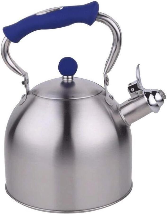 RVS Waterkoker Theepot Fluitje Water Koken Dikkere Bodem 3 Liter Blauw