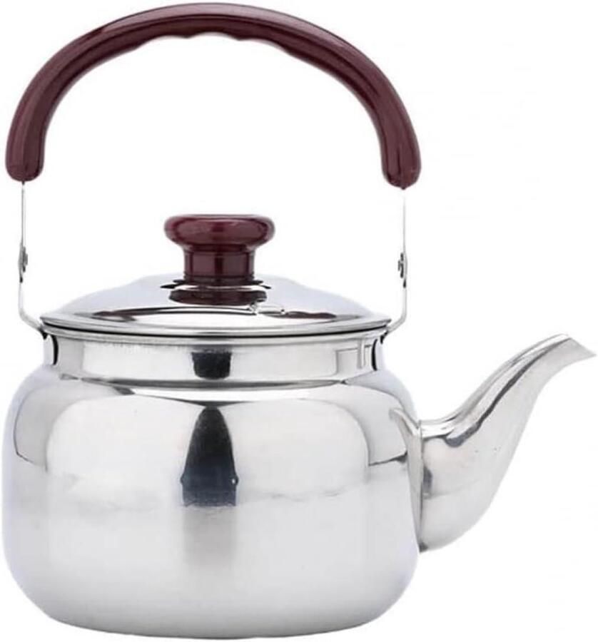 RVS Waterkoker Theepot Fluitketel Water Koken Handige Fluitfunctie 0.75 Liter Zilverkleurig
