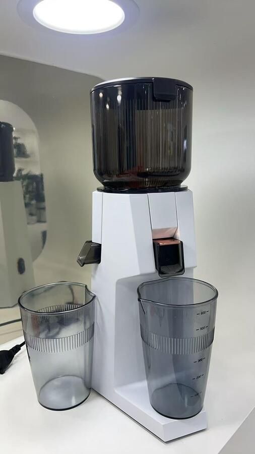 Sapcentrifuge 200 W sapcentrifuge voor groenten en fruit testwinnaar met 132 mm grote vulschacht zonder voorsnijden Slow Juicer met 700 ml BPA-vrij reservoir voor fruit en groenten (wit)