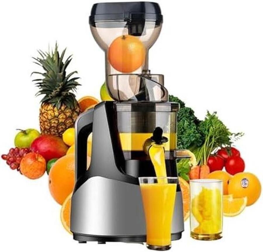 Sapcentrifuge Slowjuicer Koude pers Gezond sap maken Brede voergoot 200W Zilver