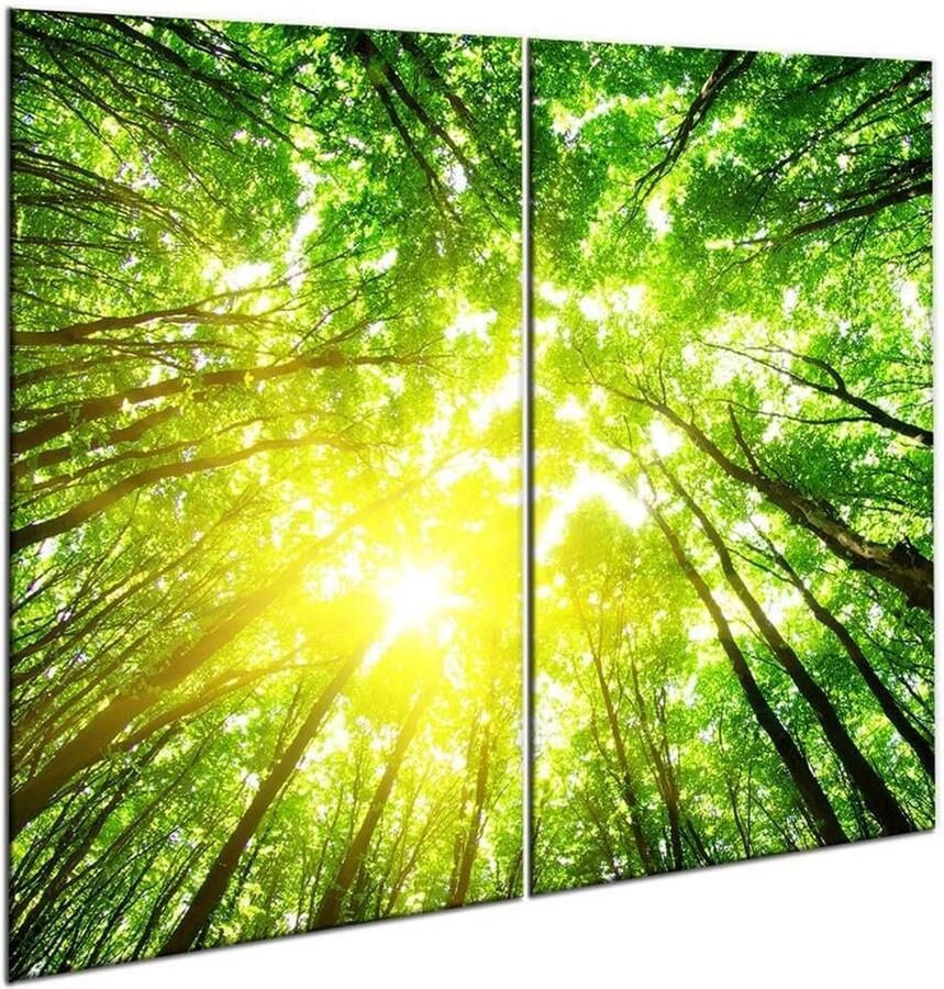 Set van 2 Glazen Afdekplaten voor Kookplaat (60x52 cm) Hittebestendige Spatwand en Snijplank