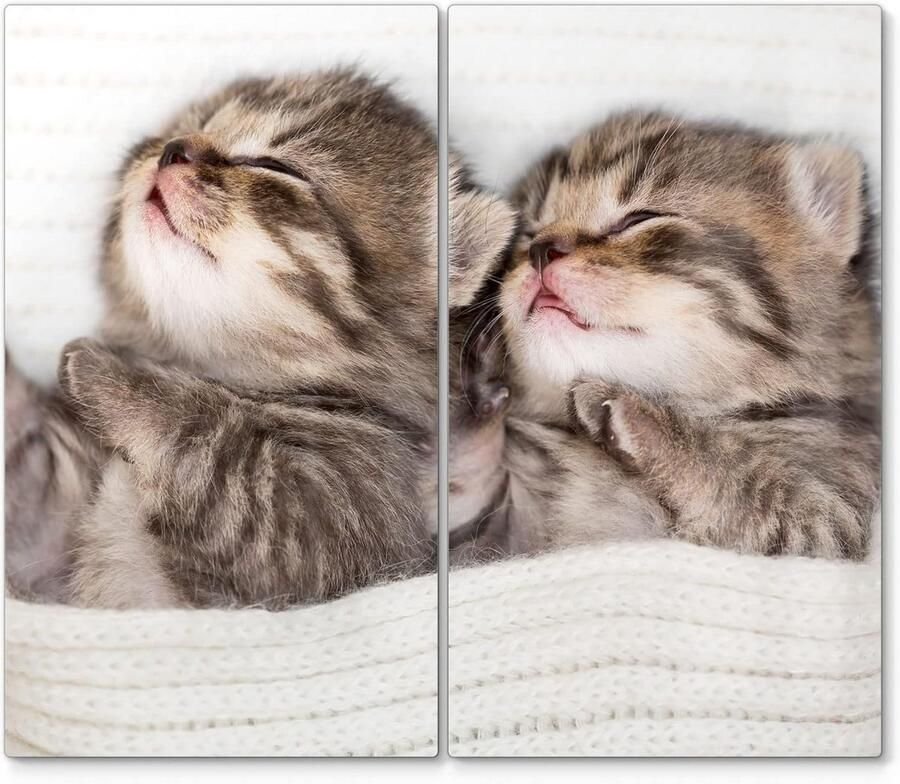 Glazen fornuisplaten Kookplaat beschermers Keukenwerkblad beschermen 3D diepte effect 60 x 52 cm Motief kittens