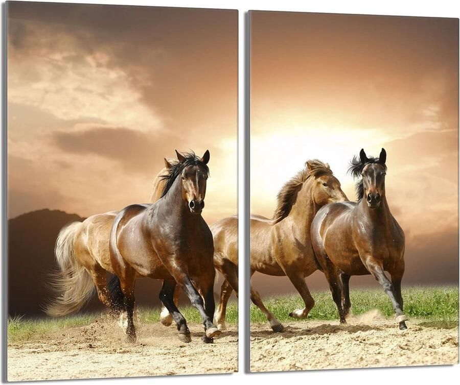Set van 2 Hittebestendige Glasplaten voor Kookplaat Spatwand & Snijplank (30x52 cm)