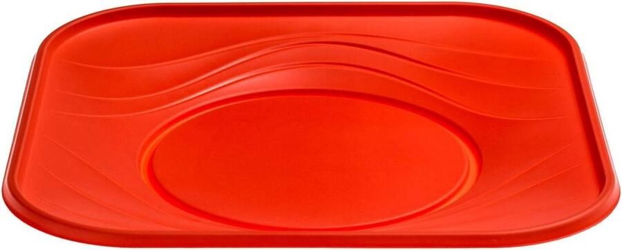 Set van 20 vierkante platte borden 23x23 cm recyclebaar en magnetronbestendig