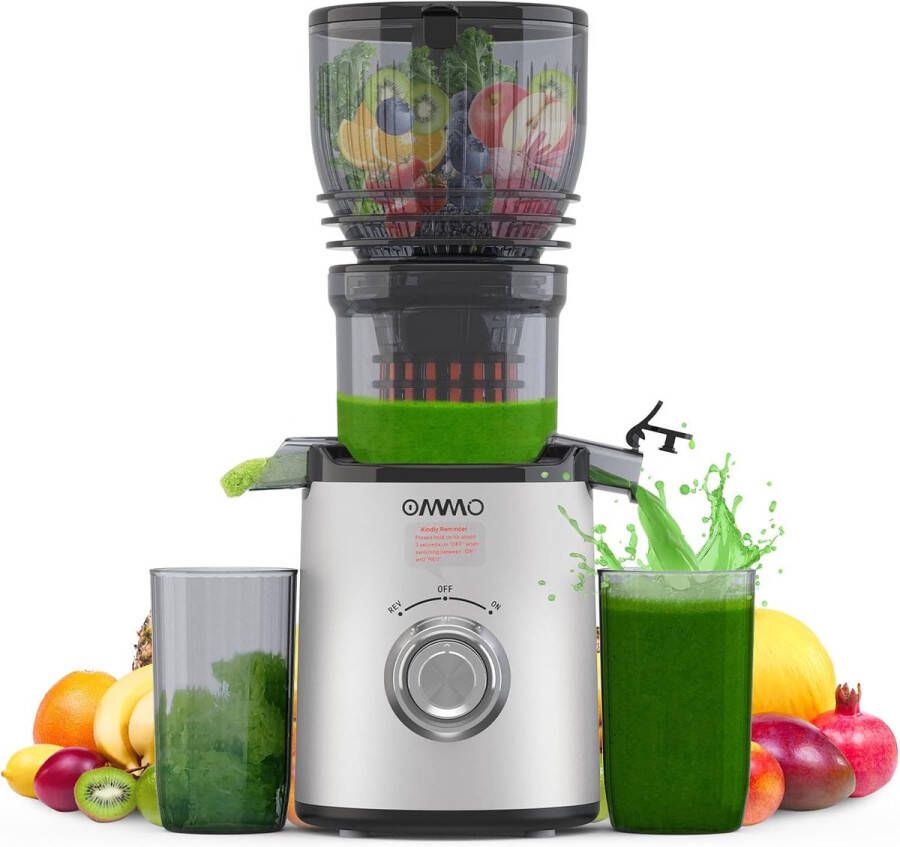 Slow Juicer 300W Efficiënte Sapcentrifuge voor Groenten en Fruit met 148mm Invoer BPA-vrij en Eenvoudig te Reinigen