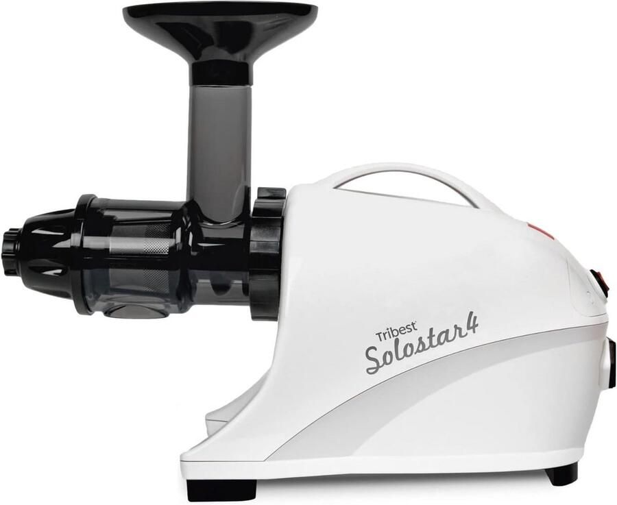 Slow Juicer Horizontaal voor Groenten en Fruit met Lage Snelheid 47 tpm