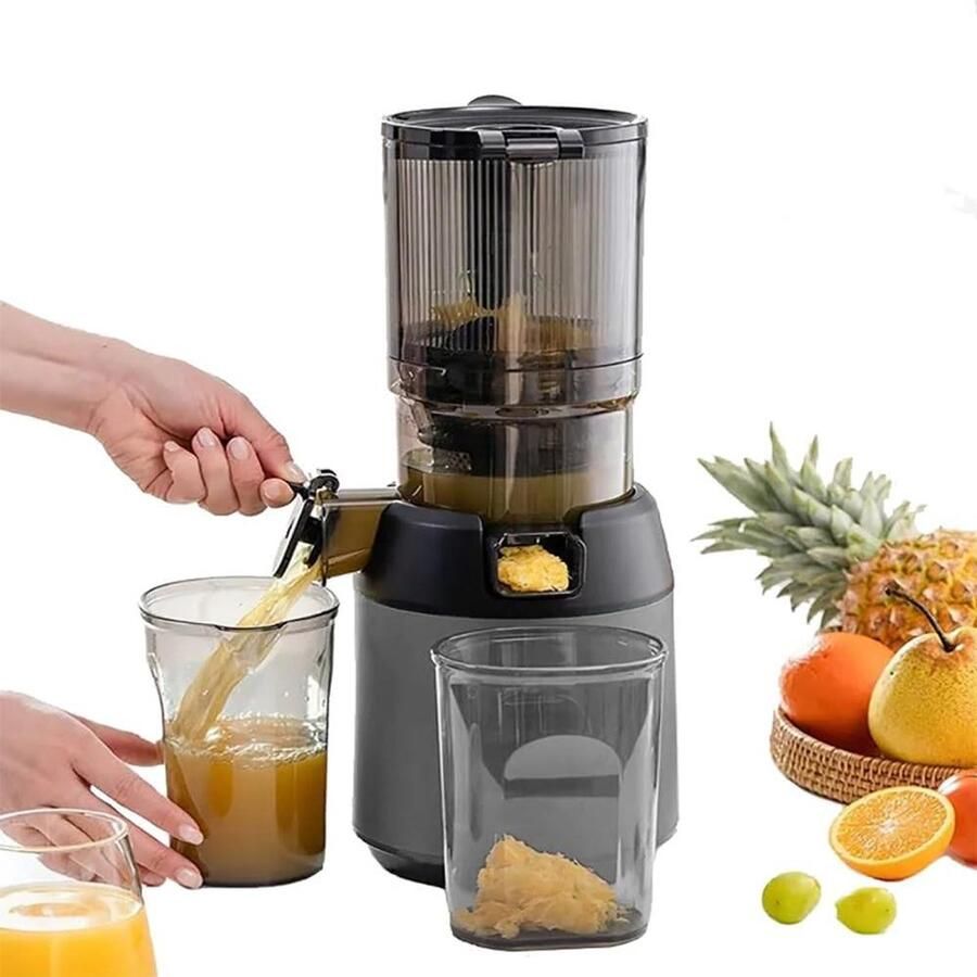 Slow Juicer Koude pers sapcentrifuge Gezond sap maken Grote voergoot 13 cm Zwart