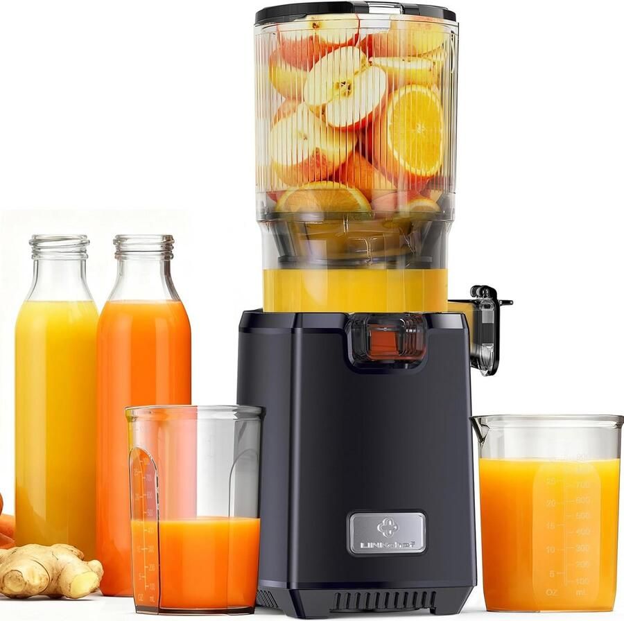 Slow Juicer met Brede Invoeropening 130mm voor Groenten en Fruit 250W