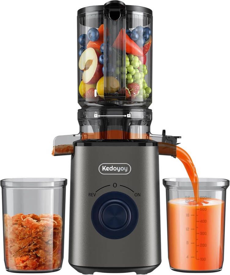 Slow Juicer met XL-vulopening voor hele groenten en fruit 600 ml sapreservoir ideale oplossing voor gezonde sappen