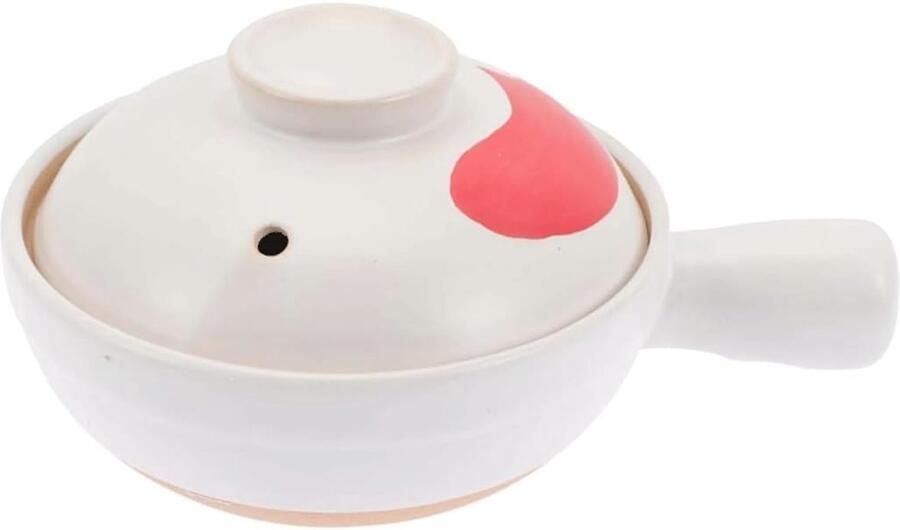 Slowcooker Braadpan Stoofpot Huishoudelijk Gasfornuis Soeppan Oude Klei Pot Braadpan Rijstpot