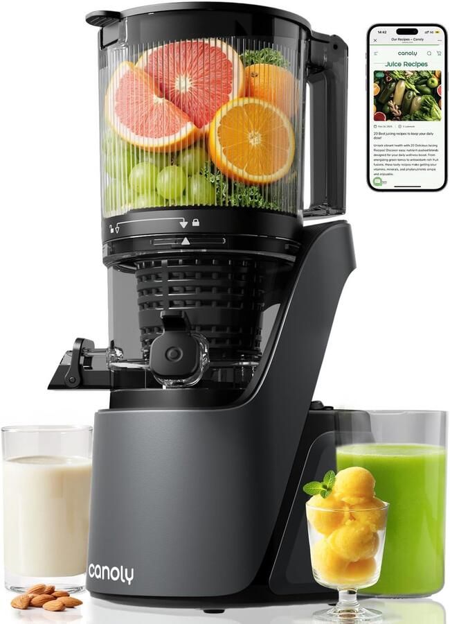 Slowjuicer 250W koude persing met 2 6 liter capaciteit stille motor en extra grote vulopening voor fruit en groenten grijs