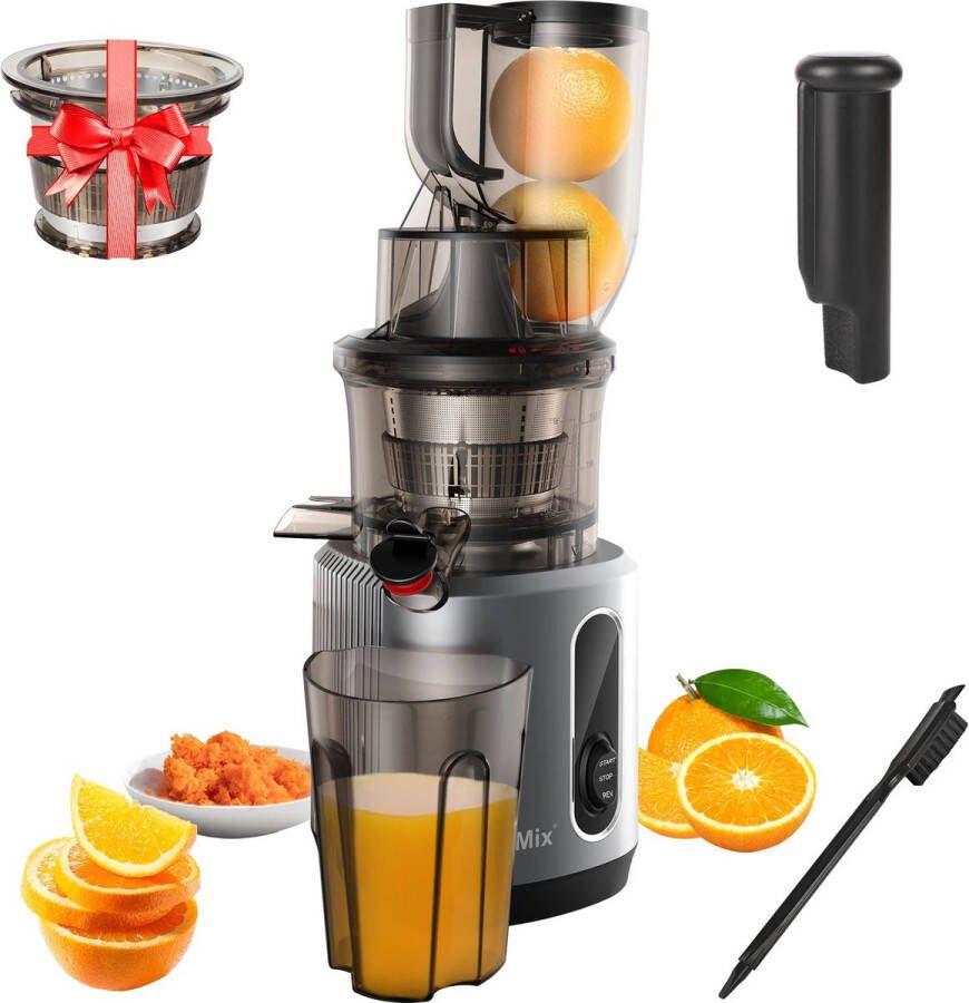 Slowjuicer Fruit en Groente 500ML 200W Koude Pers Juicer Zwart Met extra ijsfilter accessoires om ijs te maken