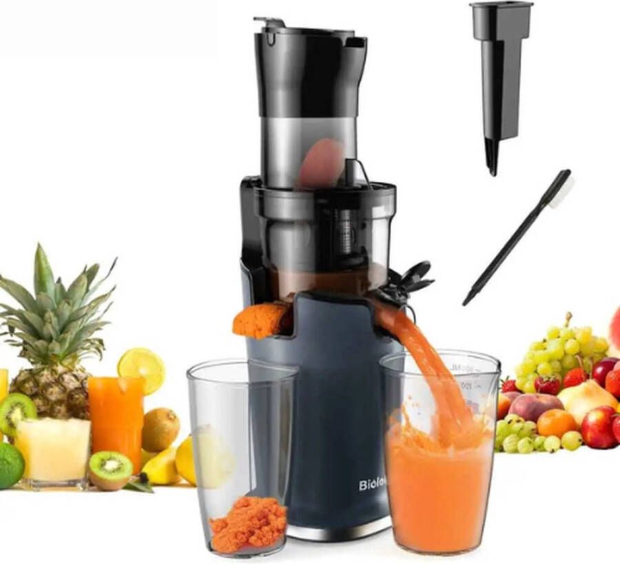 Slowjuicer Sapcentrifuge Voor Fruit en Groente 500ML 200W Koude Pers Juicer Zwart