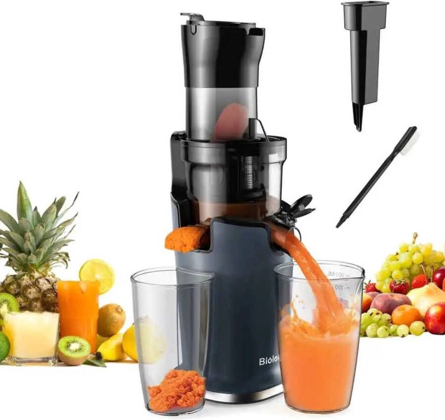 Slowjuicer Sapcentrifuge voor Groenten & Fruit Coldpress Juicer Anti Drup Anti Oxidatie 500 ml