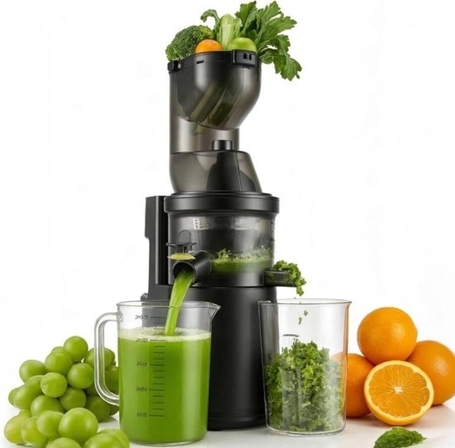 Slowjuicer Sapcentrifuge Zelf sap maken Koudgeperst sap Standaard formaat Zilver